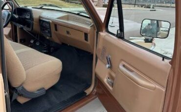 Ford-F-250-1987-Brown-12