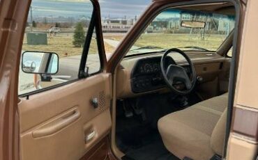 Ford-F-250-1987-Brown-15