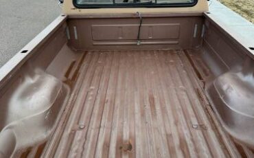 Ford-F-250-1987-Brown-4