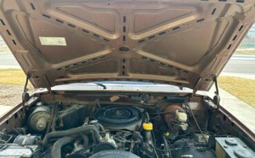 Ford-F-250-1987-Brown-5