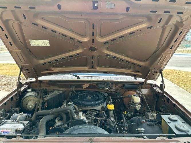 Ford-F-250-1987-Brown-5