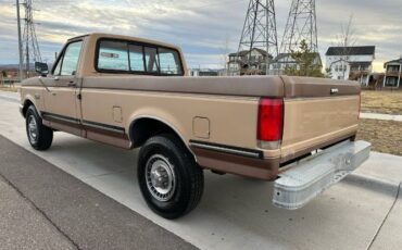 Ford-F-250-1987-Brown-8