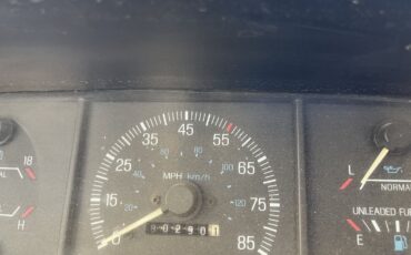 Ford-F-250-1991-3