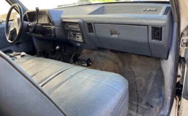 Ford-F-250-1991-4