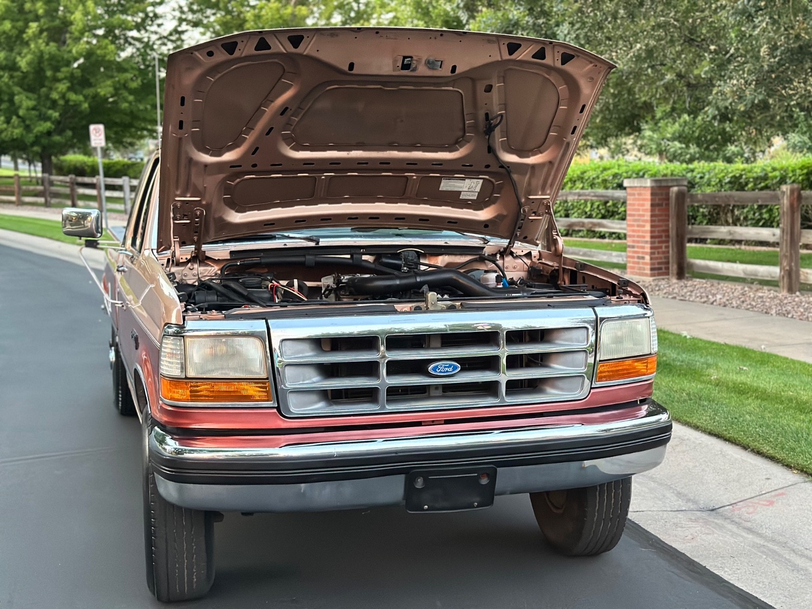 Ford-F-250-1994-Extended-Cab-Pickup-29