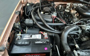 Ford-F-250-1994-Extended-Cab-Pickup-31