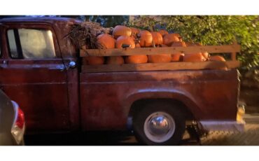 Ford-F100-1959-Patina-Black-6