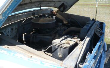 Ford-F100-1966-WhiteBlue-White-1