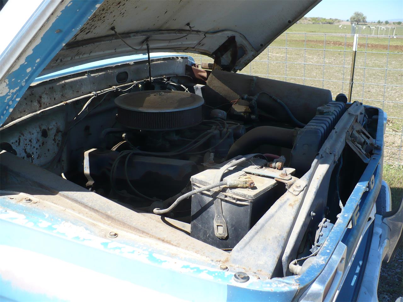 Ford-F100-1966-WhiteBlue-White-1
