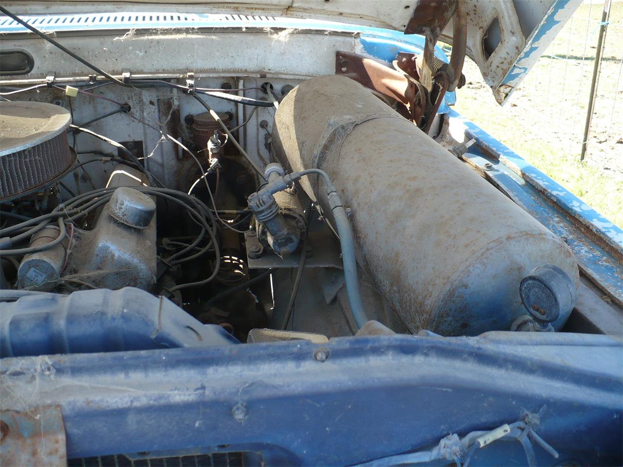 Ford-F100-1966-WhiteBlue-White-2