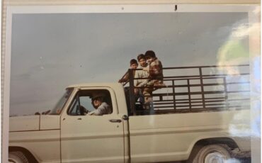 Ford-F100-1969-Pebble-Beige-Black-2