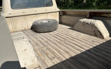 Ford-F250-1966-Tan-Tan-5