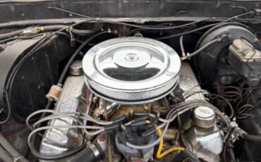 Ford-F250-1979-8