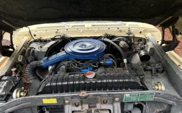 Ford-F250-1979-Cream-amp-Maroon-Maroon-amp-Black-20