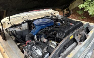 Ford-F250-1979-Cream-amp-Maroon-Maroon-amp-Black-28