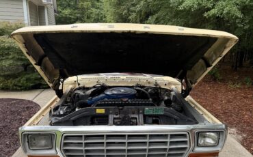 Ford-F250-1979-Cream-amp-Maroon-Maroon-amp-Black-3
