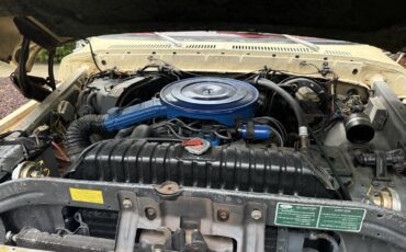 Ford-F250-1979-Cream-amp-Maroon-Maroon-amp-Black-30