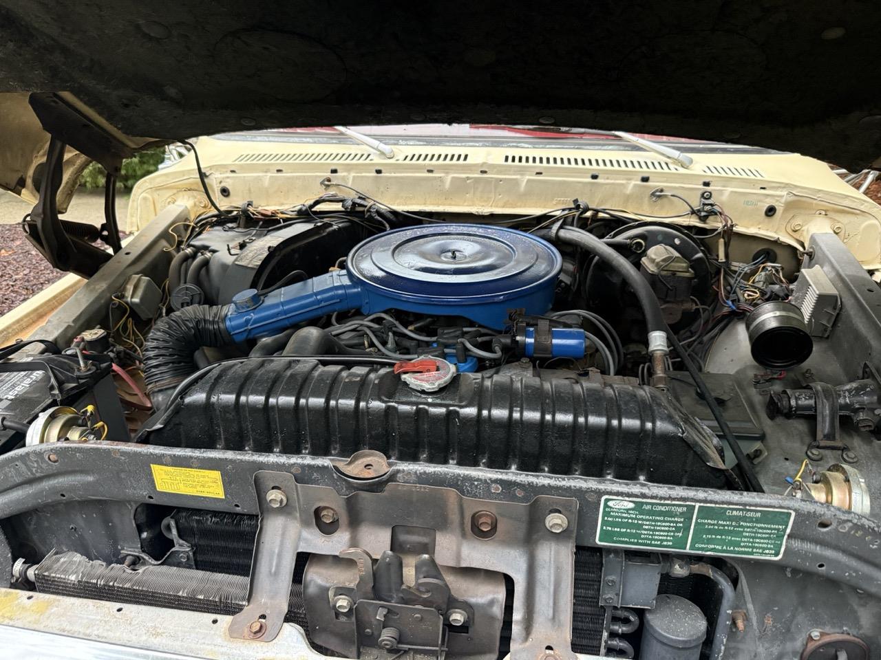 Ford-F250-1979-Cream-amp-Maroon-Maroon-amp-Black-30
