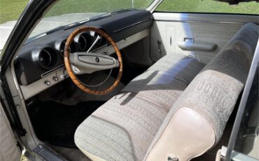 Ford-Fairlane-1968-Beige-Tan-13