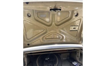 Ford-Fairlane-1968-Beige-Tan-69