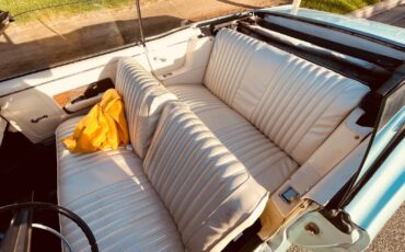 Ford-Fairlane-1969-Convertible-1