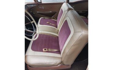 Ford-Fairlane-500-1959-Tan-Tanburgandy-10