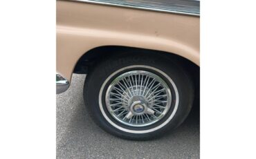 Ford-Fairlane-500-1959-Tan-Tanburgandy-4