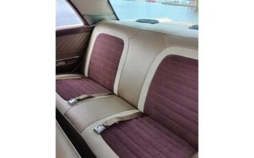 Ford-Fairlane-500-1959-Tan-Tanburgandy-5