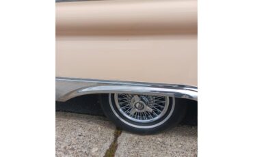 Ford-Fairlane-500-1959-Tan-Tanburgandy-6
