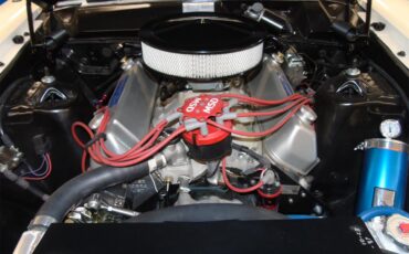 Ford-Fairlane-500-1966-White-red-4