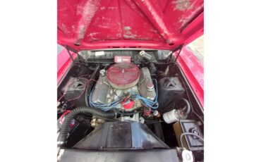 Ford-Fairlane-500-1969-Red-Beige-5