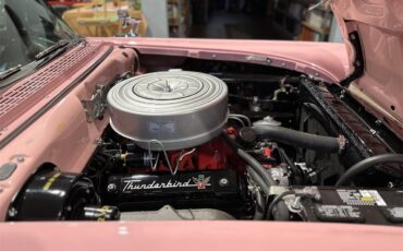 Ford-Fairlane-sunliner-1957-BrownPink-BrownPink-5