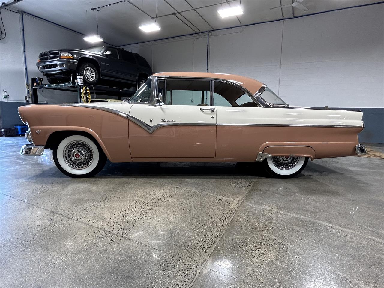 Ford-Fairlane-victoria-1955-CopperWhite-Bucksin-3
