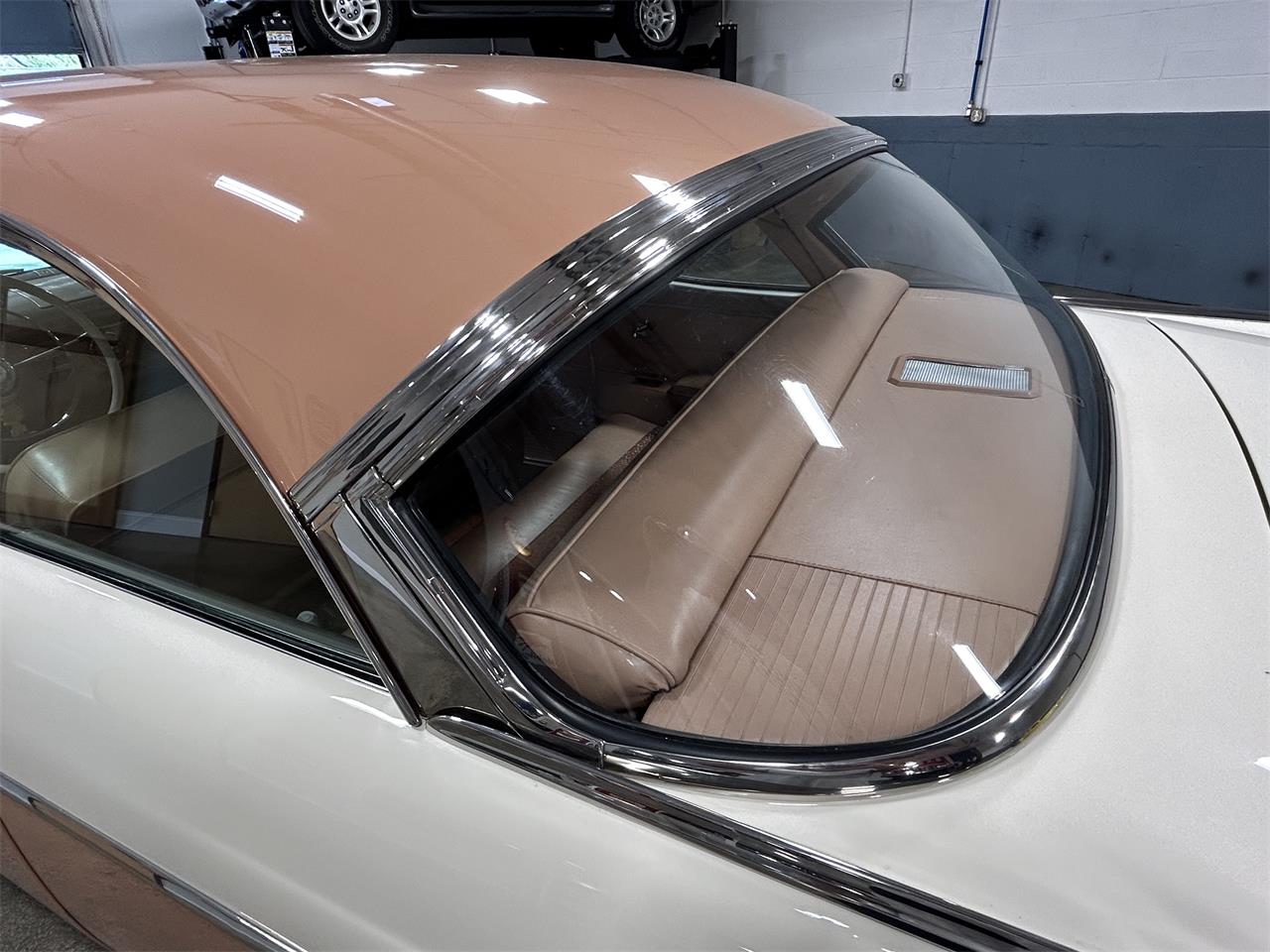 Ford-Fairlane-victoria-1955-CopperWhite-Bucksin-31