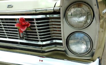 Ford-Galaxie-1965-Coupe-34