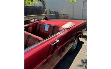 Ford-Galaxie-500-1966-Burgundy-Burgundy-6