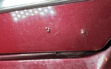 Ford-Galaxie-500xl-1964-Vintage-Burgundy-Black-23