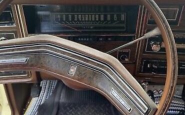 Ford-LTD-II-Brougham-1976-11