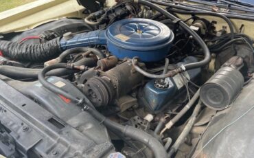 Ford-LTD-II-Brougham-1976-16