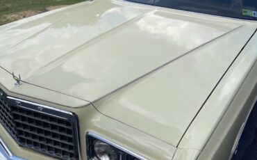 Ford-LTD-II-Brougham-1976-5