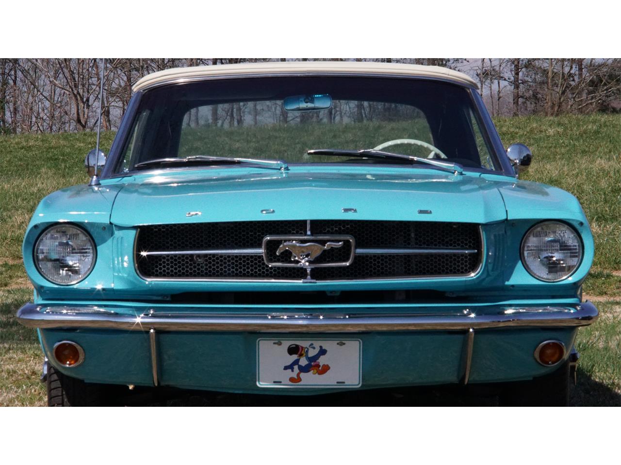 Ford-Mustang-1964-Pagoda-Green-White-21