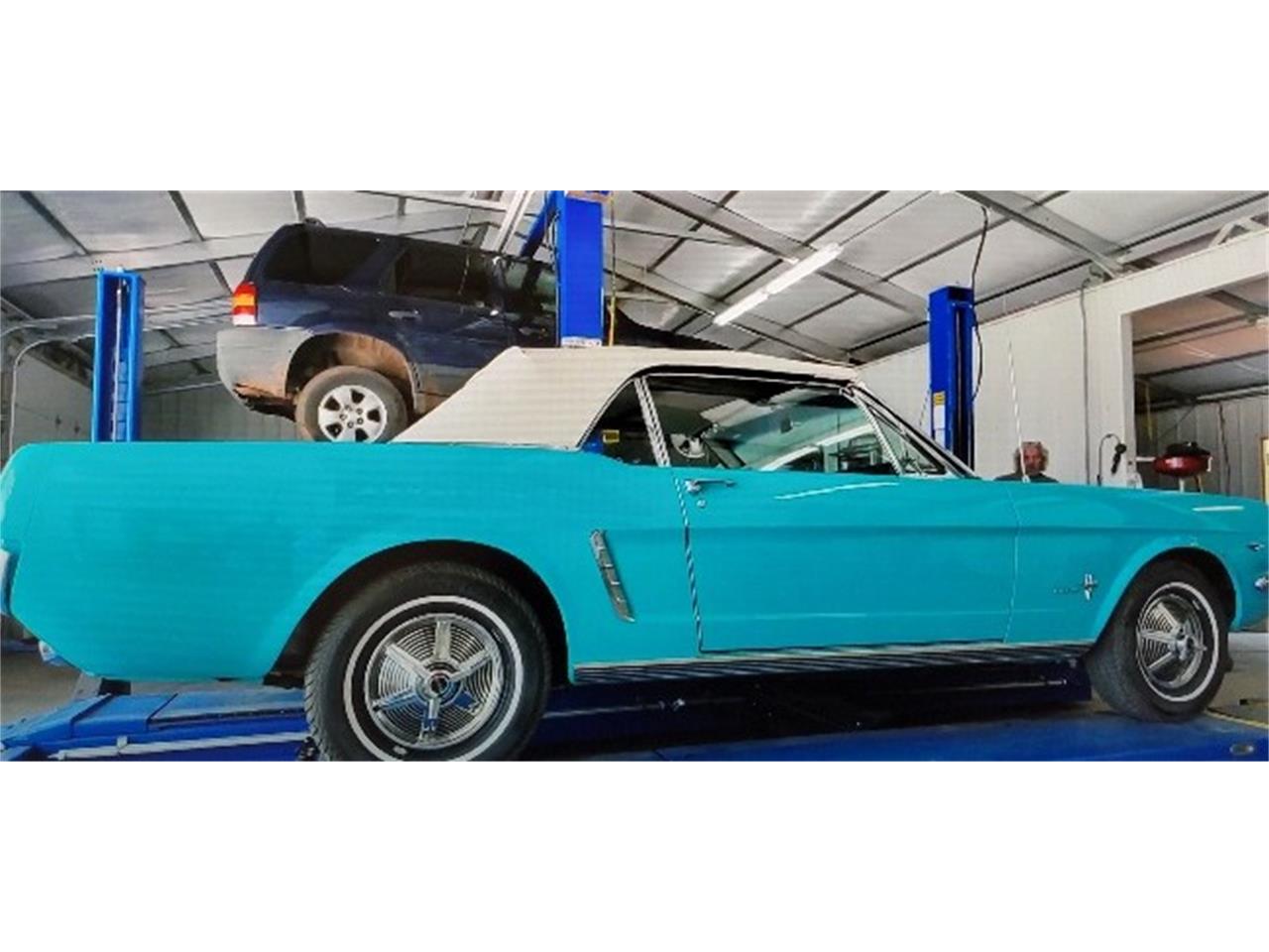 Ford-Mustang-1964-Pagoda-Green-White-33