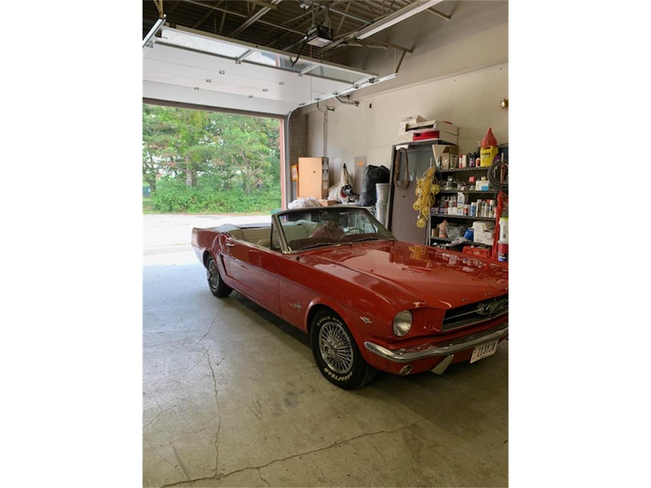 Ford-Mustang-1964-Red-White-3