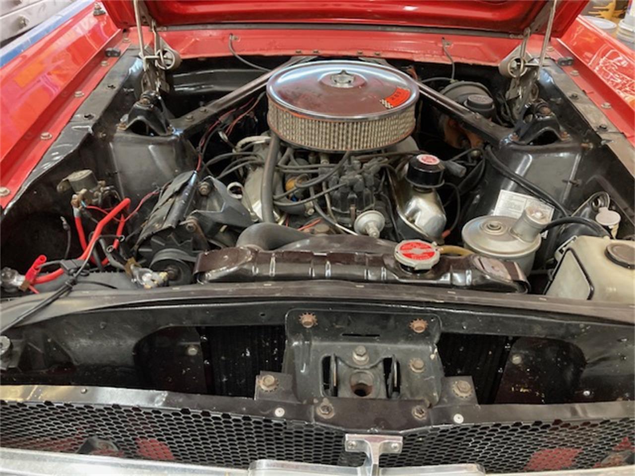 Ford-Mustang-1964-Red-White-6
