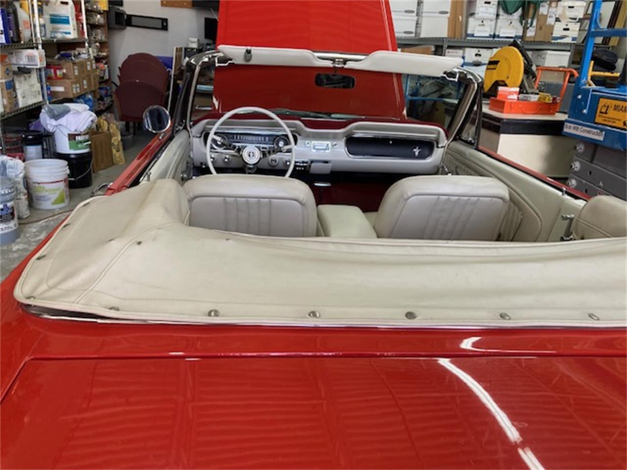 Ford-Mustang-1964-Red-White-9