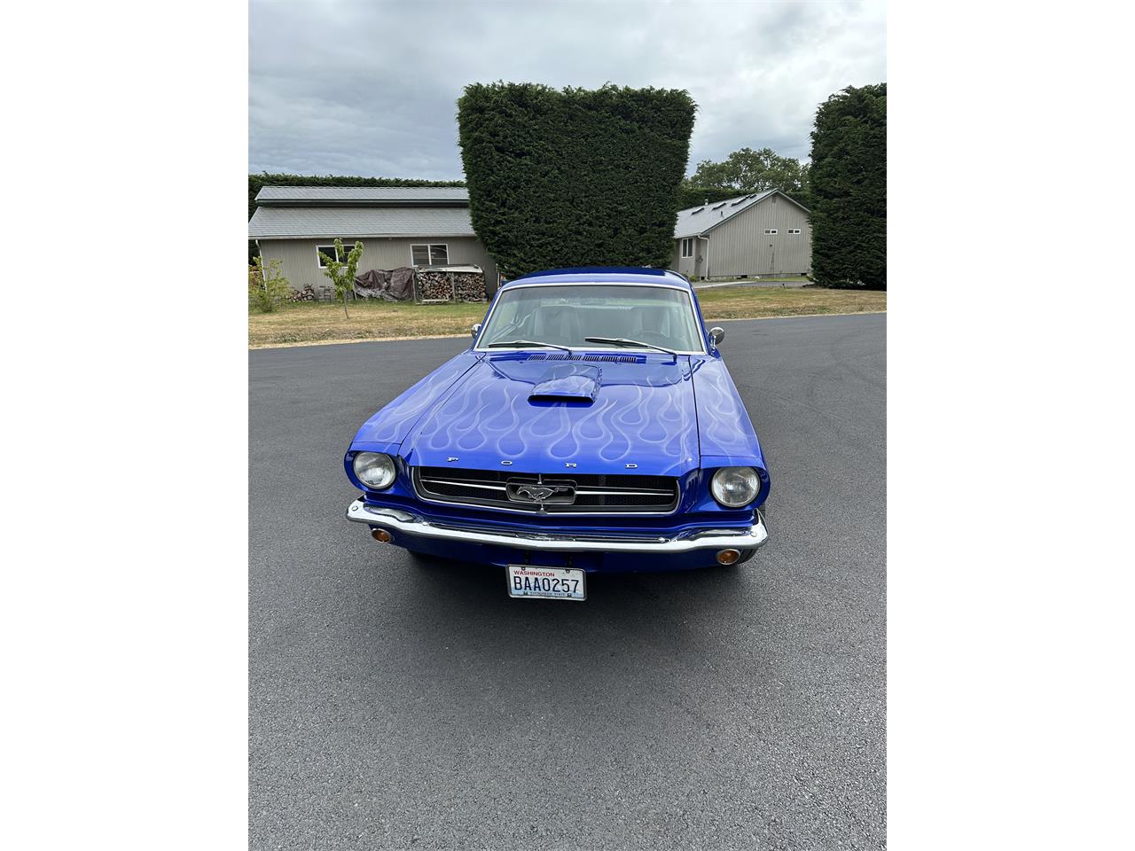 Ford-Mustang-1965-Azure-Blue-Black-1