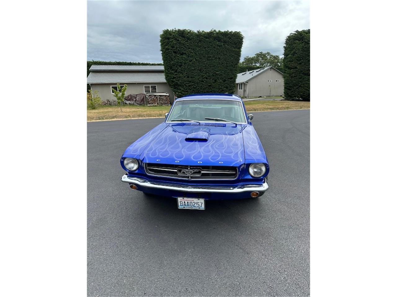 Ford-Mustang-1965-Azure-Blue-Black-2