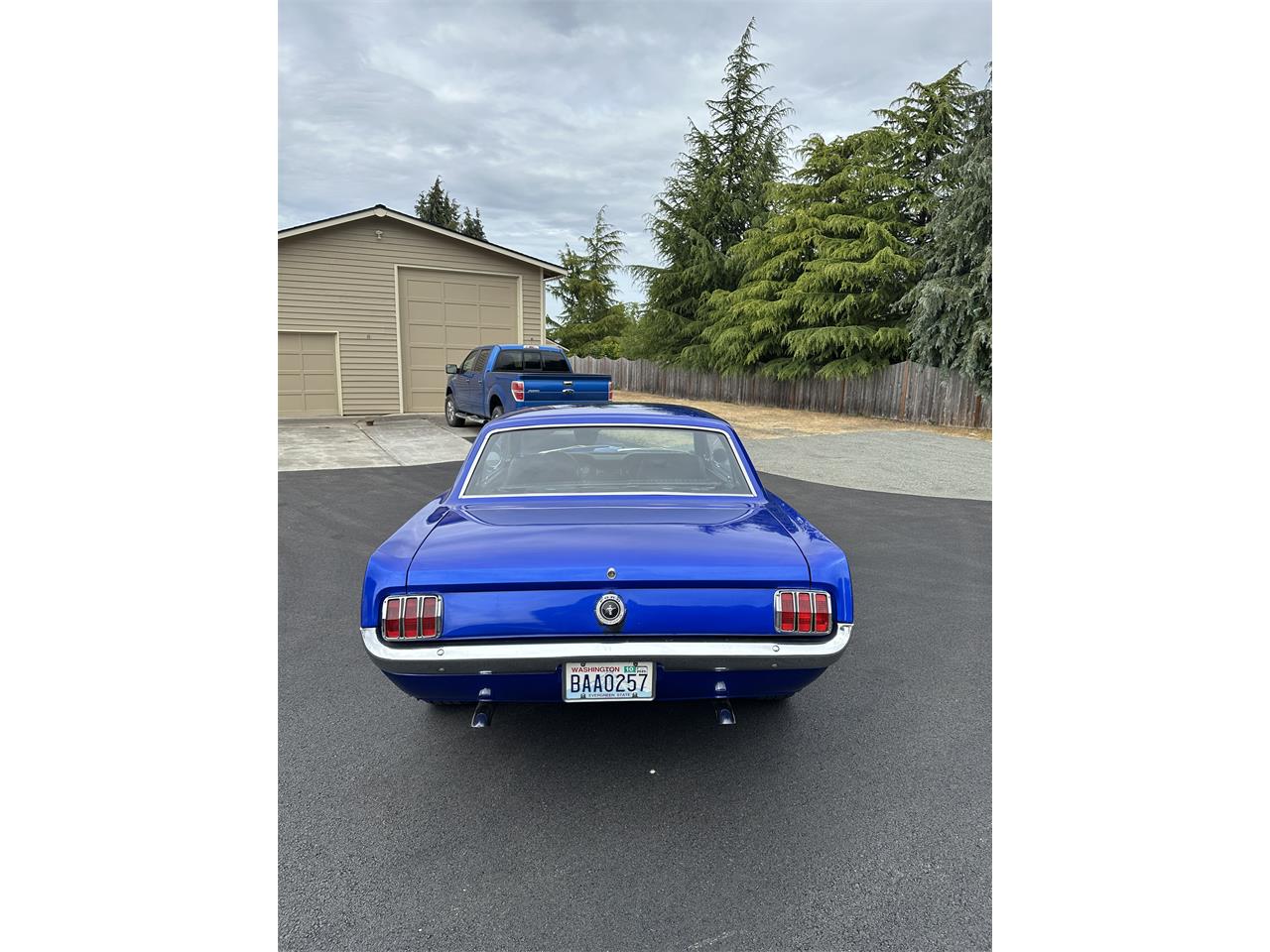 Ford-Mustang-1965-Azure-Blue-Black-4