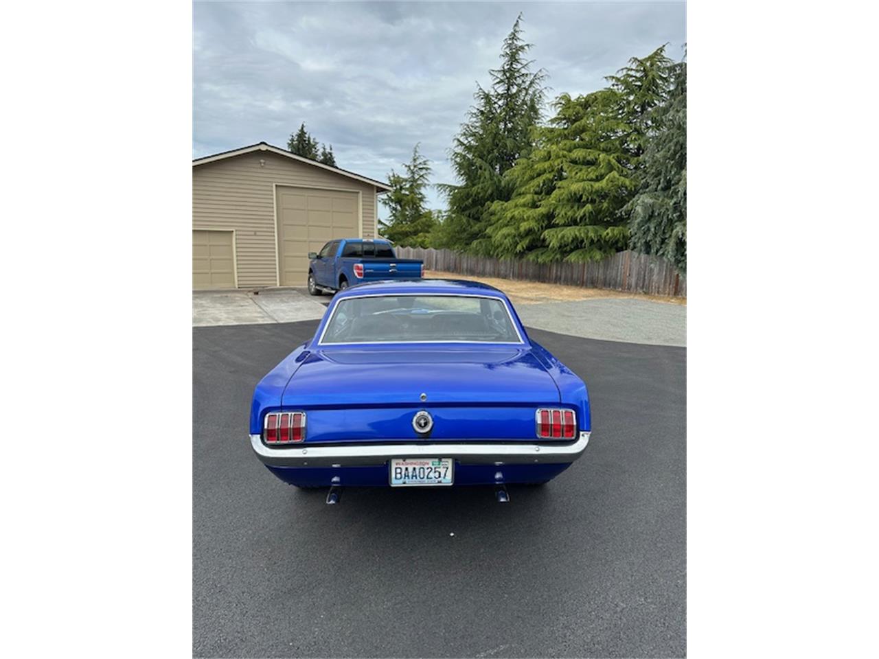 Ford-Mustang-1965-Azure-Blue-Black-5