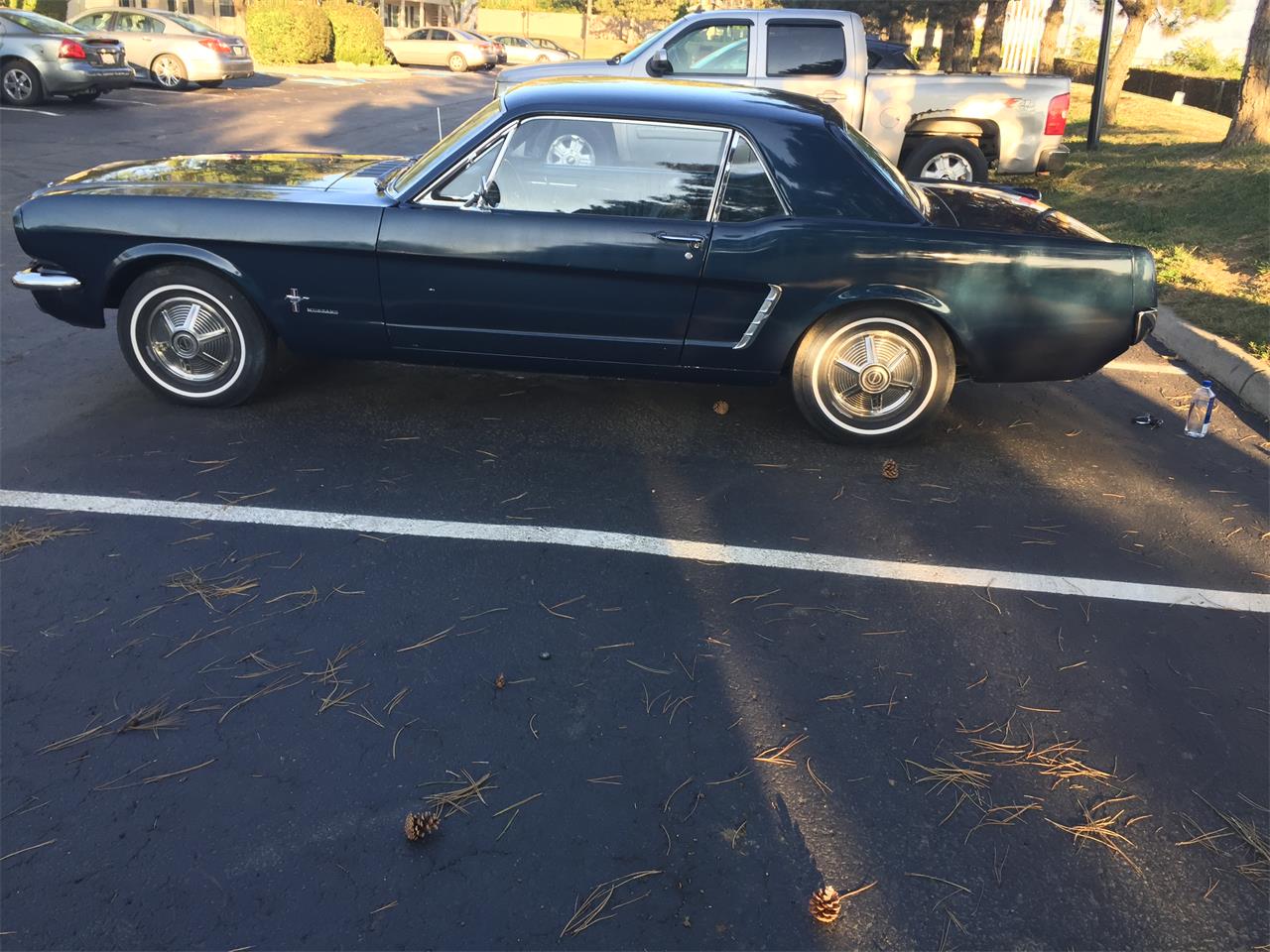 Ford-Mustang-1965-Blue-Blue-2